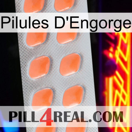 Engorge Pills 26